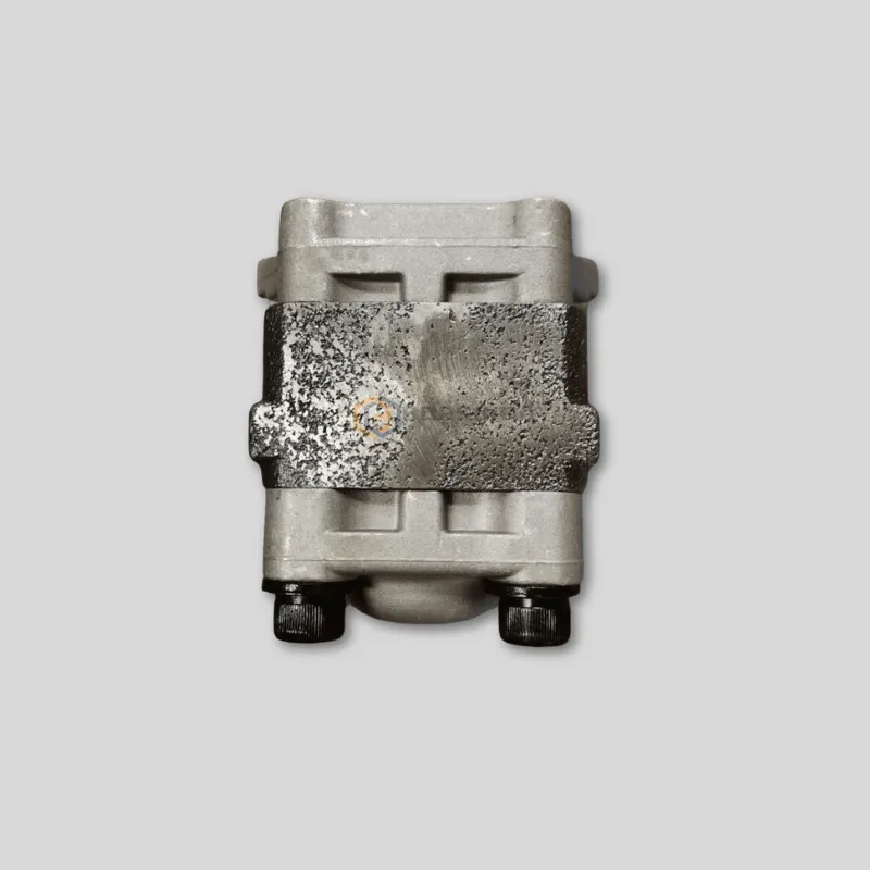 Pump Assy